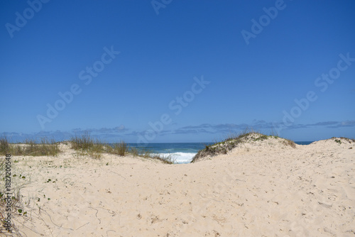 Sand Dunes by the Ocean – Coastal Landscape with Sea and Horizon (Florianópolis - Brazil)