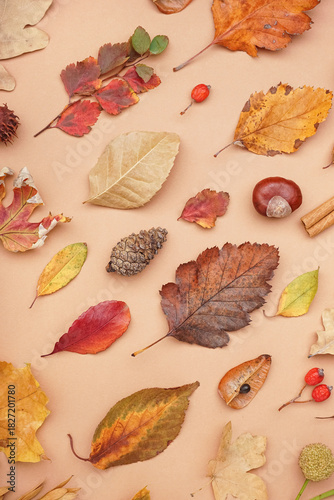 Autumnal nature flat lay wi...