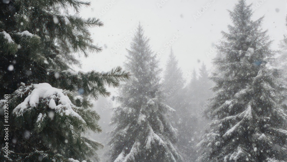Naklejka premium Winter scene featuring evergreen trees with snow falling in a forest on a cloudy day