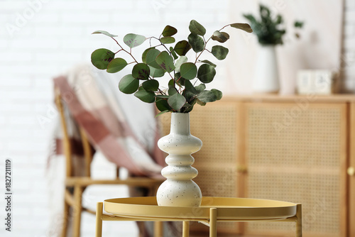 Vase with eucalyptus branch...