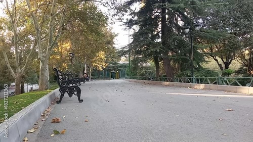 A view of a park in autumn - leaves has fall to the ground and the leaves on the trees turning yellow - two men talking and a cat walking into the frame