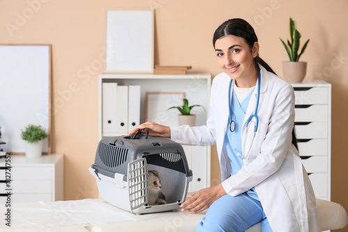 Young female veterinarian with cute Scottish fold cat in pet carrier at vet c...