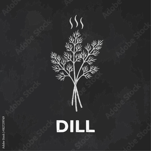 Dill herb bundle with steam on black background