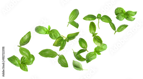Fresh green basil leaves flying in air on white background
