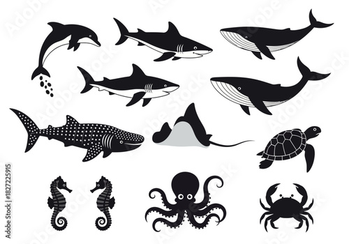 Marine life collection of various sea creatures in black and white illustration.
