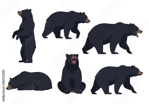 Illustrations of black bears in various poses including standing walking roaring and resting.