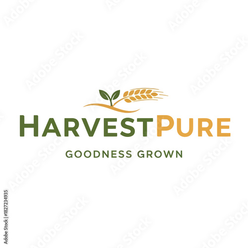 Harvest Pure logo design with wheat stalk and green sprout icon.