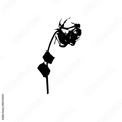 Black Silhouette of a Wilted Rose with Broken Stem.