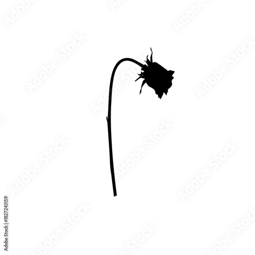 Black silhouette of a single wilting rose on a white background.