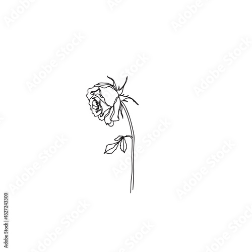 Minimalist line art of a single wilting rose.