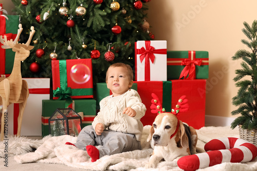 Cute little boy with adorab...