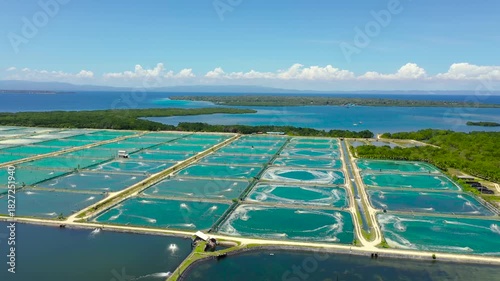 Shrimp farm with ponds and aerator pump, top view. Bohol, Philippines. The growing aquaculture business continuously threatening the nearby wetlands.