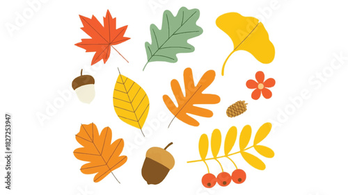 A vibrant collection of diverse autumn leaves and decorative elements artfully arranged on a clean white background for seasonal design projects