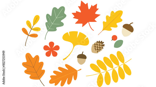 A vibrant collection of diverse autumn leaves and decorative elements artfully arranged on a clean white background for seasonal design projects