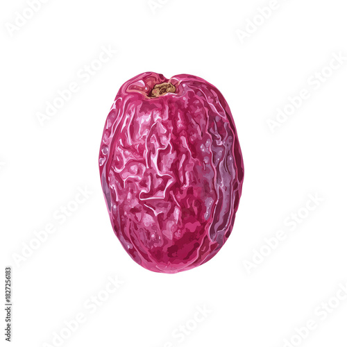 Illustration of a single ripe passion fruit on a green background