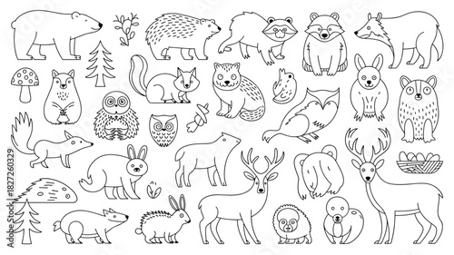 Woodland fauna line drawing featuring bear raccoon owl deer squirrel and other animals