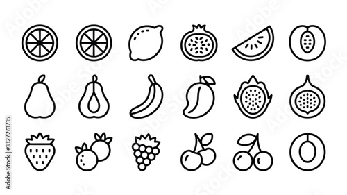 Collection of outline style hand drawn fresh organic fruits for healthy diet food concept