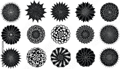 Geometric mandala set, circular patterns, black and white design, radial symmetry, abstract flower shapes, vector art, math illustration
