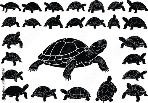 Turtle silhouette set, black icons, animal poses, shell shapes, reptile clipart, vector design, nature graphic, wildlife illustration