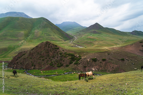 Horses in the mountains