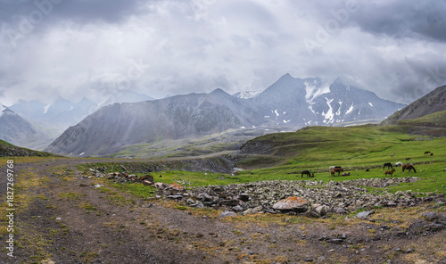 high mountain landscape