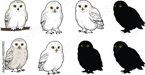 Cad drawing flat vector illustration of eight white owl poses, wildlife bird design, nocturnal animal art, cartoon character collection, nature concept