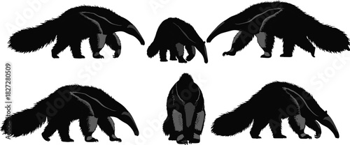 Giant anteater silhouette collection, wild animal vector illustration, forest wildlife design, nature mammal graphic art, anteater shadow set, tropical creature drawing