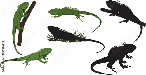 Green iguana and black silhouette lizard collection isolated on white background reptile wildlife vector illustration design for nature concept