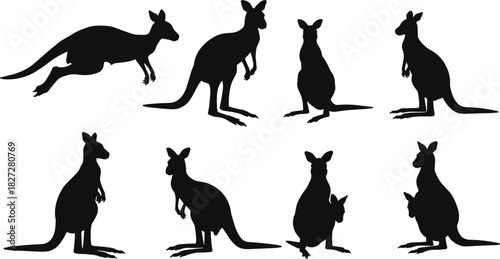 Kangaroo silhouette collection isolated on white background, Australian wildlife animal illustration, jumping and standing poses for nature art and design