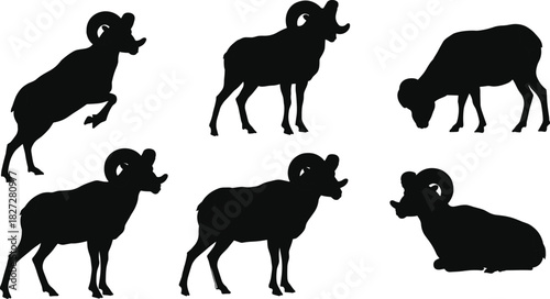 Ram animal silhouette collection, wild mountain sheep illustration, strong horned mammal vector art, wildlife design, nature graphic, black ram artwork