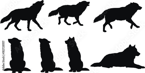 Silhouette collection of wolves in various poses howling walking sitting and lying isolated on white background wildlife vector illustration design