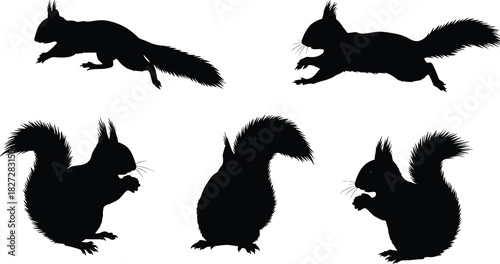 Cad drawing flat vector illustration of five squirrel silhouettes, wildlife animal design, jumping and eating poses, nature art concept, black outline