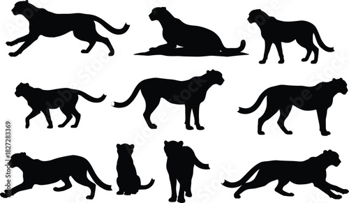 Cheetah silhouette collection, running cheetah, wild animal poses, big cat illustration, wildlife design, safari art, predator vector set, jungle theme, nature background
