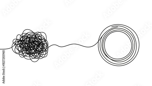 Unraveling Complexity From Chaos to Clarity and Order