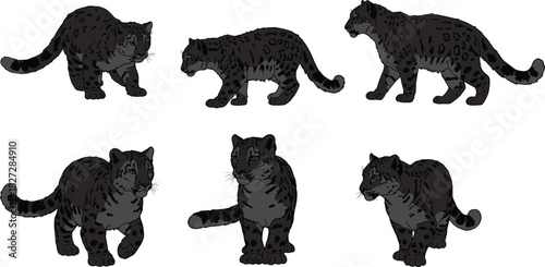 Snow leopard illustration set, wild animal in various poses, wildlife art, endangered species, nature conservation, big cat and mountain predator
