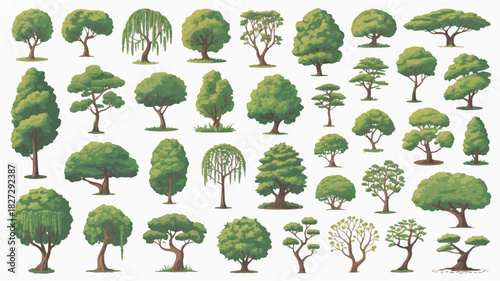 A diverse collection of forty detailed vector tree illustrations presented in a uniform grid layout on a clean white background