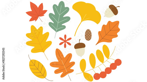 A beautiful collection of diverse autumn leaves and decorative elements artfully arranged on a clean white background for seasonal design projects