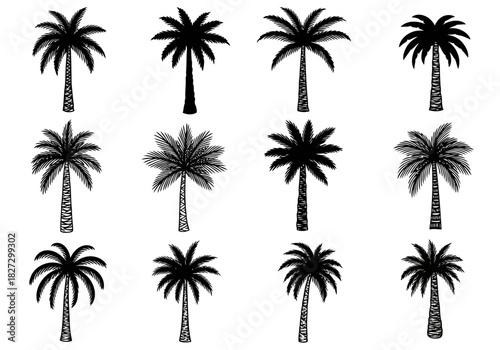 Set of twelve different black silhouette palm tree icons for tropical design element