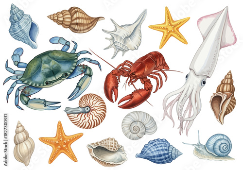 Collection of watercolor sea creatures and shells including crab, lobster, squid, starfish, and various gastropod shells