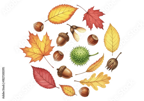 Watercolor illustration of autumn elements like maple leaves, oak leaves, acorns, and chestnut arranged in a circle