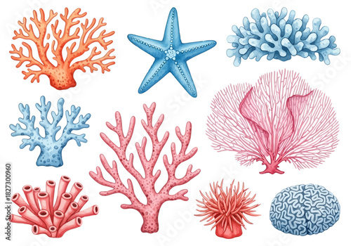 Collection of watercolor sea life illustration featuring various types of colorful coral and a starfish
