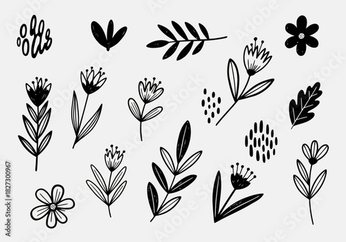 Collection of hand drawn black and white botanical elements, doodle floral twig and leaf set