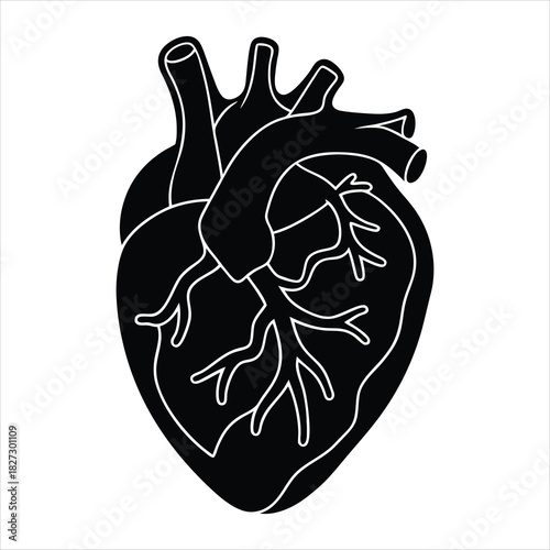 Anatomical heart with neon glow outline