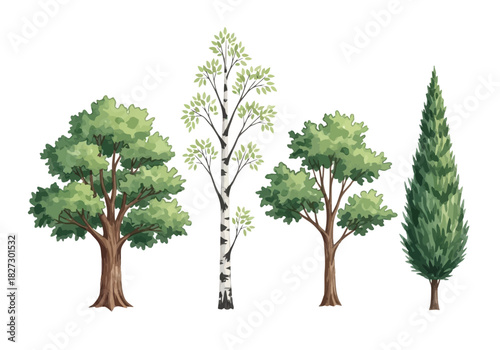 Watercolor illustration set of four different tree types including oak, birch, maple, and cypress