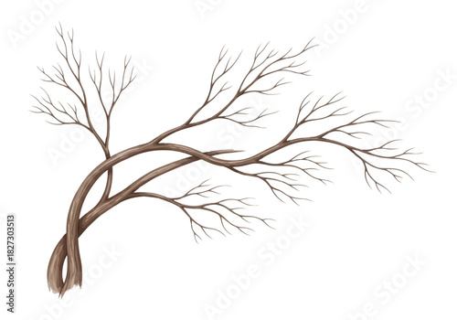 Watercolor illustration of bare tree branch structure, perfect for winter or autumn design elements