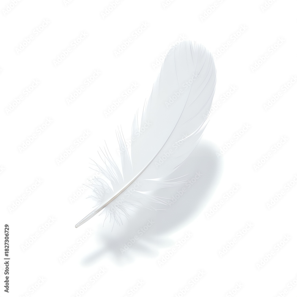 Obraz premium white feather on white background