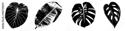 Tropical Leaves Black and White Silhouette Vector Ideal for jungle, summer, botanical, and exotic nature backgrounds. Symbolizes paradise, nature, lush growth, and exotic climate.