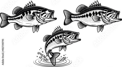 Aggressive Largemouth Bass Fishing Logo Design, Vintage Engraving Style, Black and White Vector Illustration of Fish Jumping, Ready to Strike on a Hook