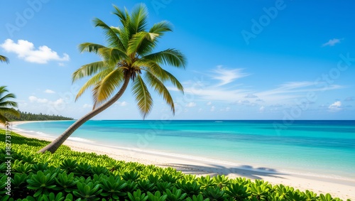 Fototapeta Naklejka Na Ścianę i Meble -  Leaning palm tree on tropical beach with turquoise ocean