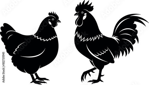 Pair of chicken and rooster vector silhouette illustrations, representing farm animals, poultry, agriculture, livestock, and rural life graphic design